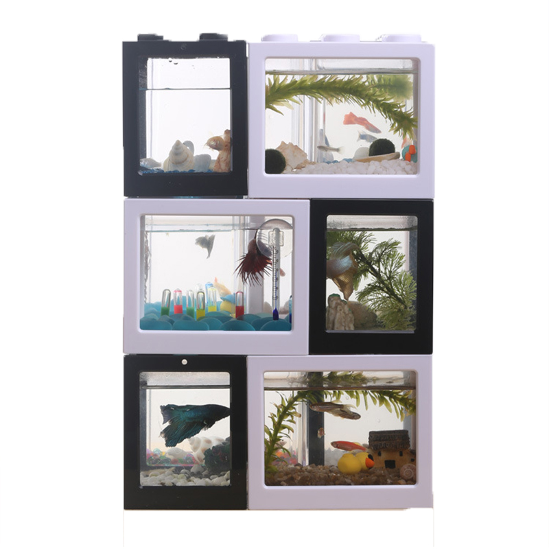 7 Renkli Mini Akvaryum Betta B - Aquarium Fish Betta incelemesi ve fiyatı