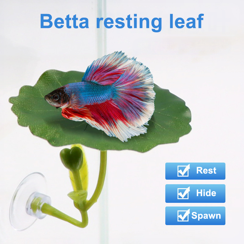 (Ce14)1/5PC Yeşil Yapraklı Ham - Aquarium Fish Betta incelemesi ve fiyatı