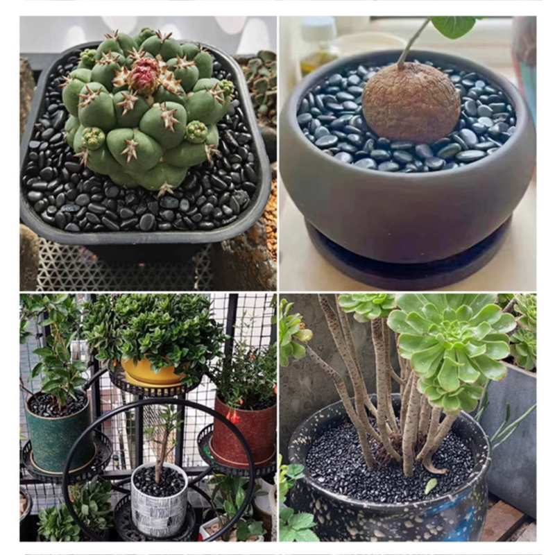 Beyaz ve Siyah Cilalı Nehir Ta - Fish Tank Gravel incelemesi ve fiyatı